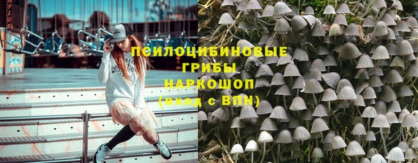 сатива Богородицк